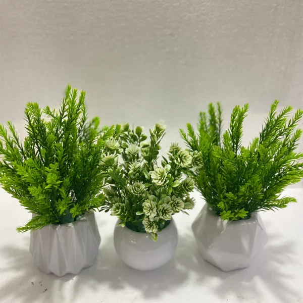Ceramic Pots with fillers (Random Select)