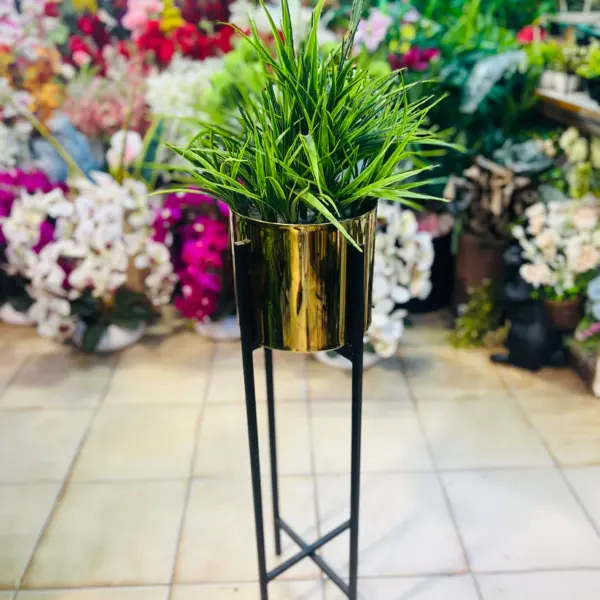 Century stand with plants